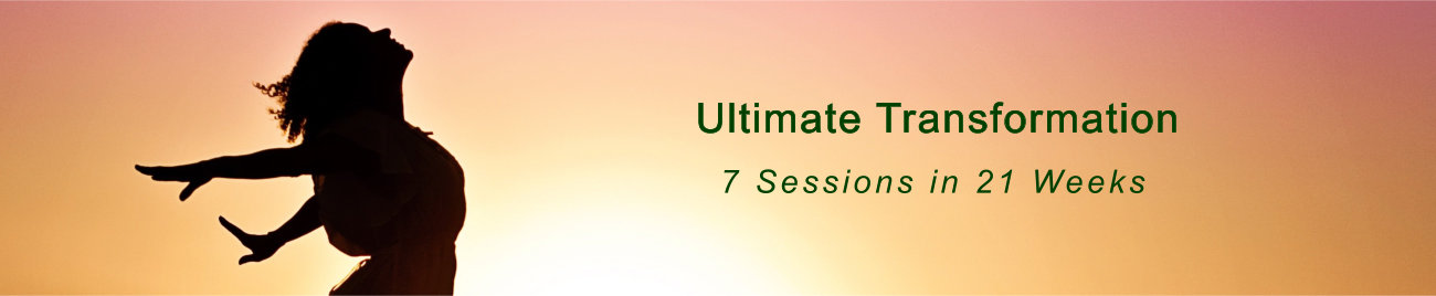 Ultimate Transformation Sessions with Monica Levin