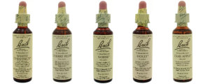 Bach Flower Remedies for sale